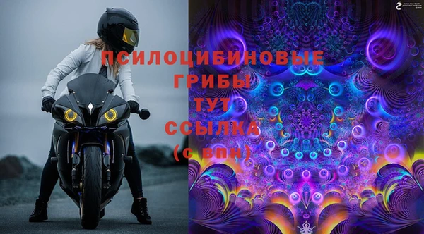 дурь Верея