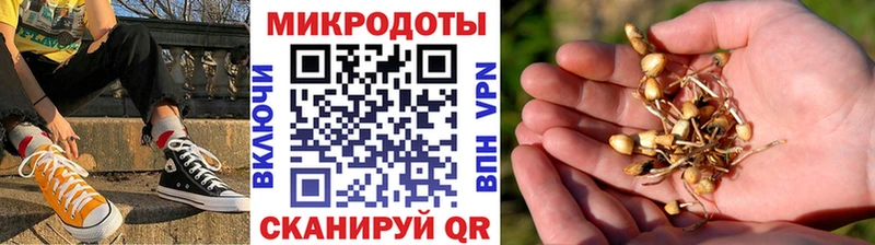 Купить Холмск Псилоцибиновые грибы Cubensis